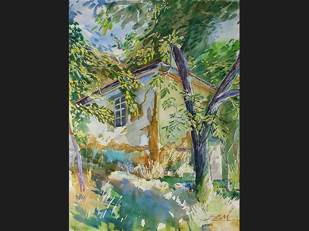 The walnut and the old summer kitchen